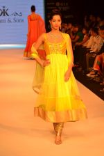 Model walks the ramp for Kriplani & Sons Show at IIJW Day 4 on 22nd Aug 2012 (67).JPG